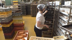 Cizinci mají o práci v Česku zájem. Naráží ale na řadu úskalí