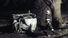 Dívka (19) nabourala s autem do stromu. Na místě zemřela