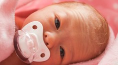 V porodnici se narodila jednovaječná čtyřčata. Holčičky dostaly krásná jména