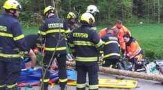 Pád stromu na Chrudimsku si vyžádal dvě oběti. Mohlo jít o zabití z nedbalosti