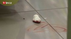 Z nešťastné lásky se probodl