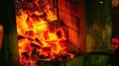 Lidem vadilo, že se v bytech netopí. V kotelně našli děsivou věc
