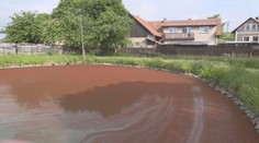 Děsivý úkaz na Žďársku. Tamní rybník se zničehonic zbarvil do ruda