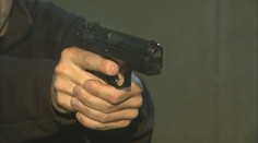 Zákon o zbraních schválil Senát. Registr zbrojních průkazů se otevře lékařům