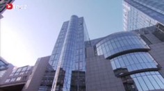 Politici bojují o voliče. Budou při kampani létat vajíčka až do října?