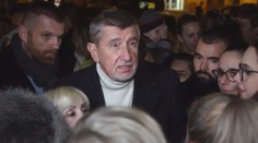 ANO bude řešit budoucnost hnutí. Babiš má raději exekutivní funkce, říká Školník