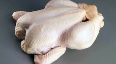 Další napumpované kuřecí maso antibiotiky! Celých 22 tun!