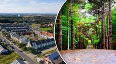 Lidé se kvůli koronaviru stěhují za Prahu, poptávají domy se zahradou