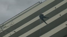 VIDEO: Dva strážníci při akci slanili na balkón. Jeden to zvládl, druhý se sesypal