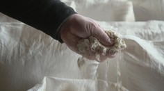 Bezlepkovou dietu drží lidé mnohdy dobrovolně. Mohou si tím ublížit, varují experti