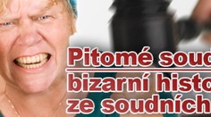 PITOMÉ SOUDY: bizarní historky ze soudních síní