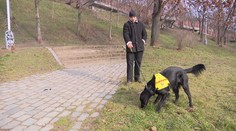 Tomášovi s epilepsií pomáhá asistenční pes. Pojišťovna na ně nepřispívá