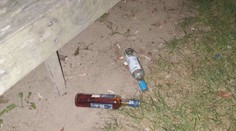 Alkohol a posprejovaná auta. Nezletilí naložili s dnem volna po svém