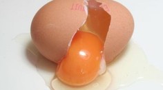 Pozor na vejce z Německa. Našli v nich jedovatý dioxin