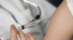 V Česku vyrobili vakcínu proti prasečí chřipce. Češi ji ale nedostanou