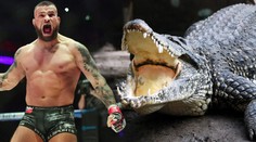 Vémola pod palbou: Prý týrám zvířata, hovada, nabídněte řešení, vzkazuje