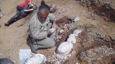 Významný nález v Chile. Vědci objevili nový druh dinosaura