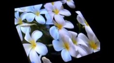 Telefon s rozkládací obrazovkou