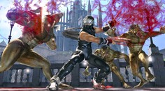 Ninja Gaiden 2: Nechte údy létat!