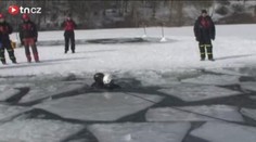 VIDEO: Tak se zachraňují životy! Tonoucí volali o pomoc
