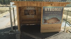 Automat na rybí produkty. Taková věc se nově objevila v Bečově nad Teplou