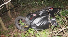 Zdrogovaný řidič ujížděl před policisty. Nakonec se schoval na stromě!
