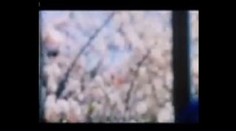 Krvavá jatka: Šokující instruktážní video