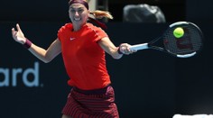 Kvitová je v Sydney ve čtvrtfinále, Siniakové se nedařilo a vypadla!