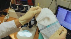 Vědci hledali parazity v respirátorech a rouškách, tohle tam našli! VIDEO