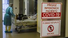 Nikola pomáhala v nemocnici s covidem, teď se bojí maturity. Reakce ministerstva
