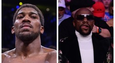 Lvi po boku lvů. Slavný boxer bude trénovat s největšími legendami