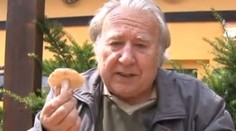 Mykolog poradil, jak na houbový guláš i jak poznat zákeřnou otravu