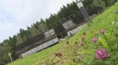 Unikátní lesovnu za 20 milionů ničí plíseň