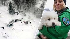 Počet obětí laviny dál roste! Zatím zachránili 11 lidí a štěňátka! VIDEO