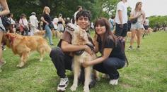 V Buenos Aires se sešlo skoro 2 400 zlatých retrívrů. Vytvořili světový rekord