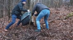 Lišák uvízl ve smyčce na stromě. Záchranáři ho ošetřili a vrátili zpět do lesa