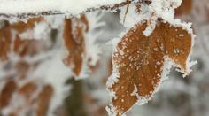 Mrznout začne už o víkendu! Meteorologové straší stoletou zimou