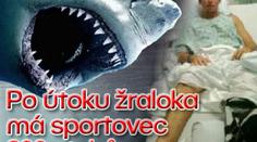 Po útoku žraloka má sportovec 300 stehů