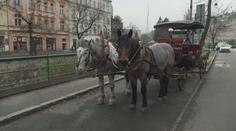 Tradiční jízdy v kočárech čeká změna. Karlovy Vary pro ně mění podmínky