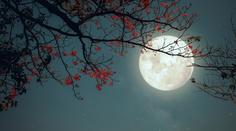 Blížící se úplněk přinese zásadní zvraty. Hrozí i riziko nehod, varuje astroložka