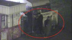 Češi kradou už i vánoční stromky! Policie je hned měla! VIDEO