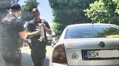 V rozpáleném autě ležel malátný pes. Policie musela při záchraně rozbít okno