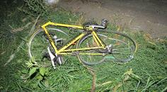 Cyklistům šlo při večerní vyjížďce o život! Zřítil se na ně strom