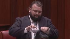 VIDEO: Takhle se dává výpověď ve stylu. Politik se rozloučil nevšedním gestem