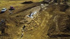Vědci objevili nový druh dinosaura. Díky hřebenu na hlavě uměl "mluvit"