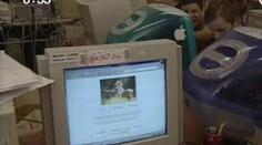 Anonym hrozí ostravským zastupitelům: za kácení stromů smrt!
