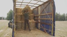 Většinu Česka trápí extrémní sucho. Farmáři se bojí vysokých ztrát