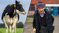 Muž (80) má zákaz vstupu na farmy. Znásilňoval krávy pěstí