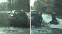 VIDEO: Rutinní kontrola se změnila v divokou honičku. Skončila až na lesní cestě