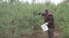 Ochrana stromků před zloději